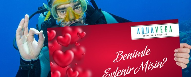 Ankara'nın okyanusa açılan tüneli! İçinde gezilen dev akyaryum: Aqua Vega - Resim : 4