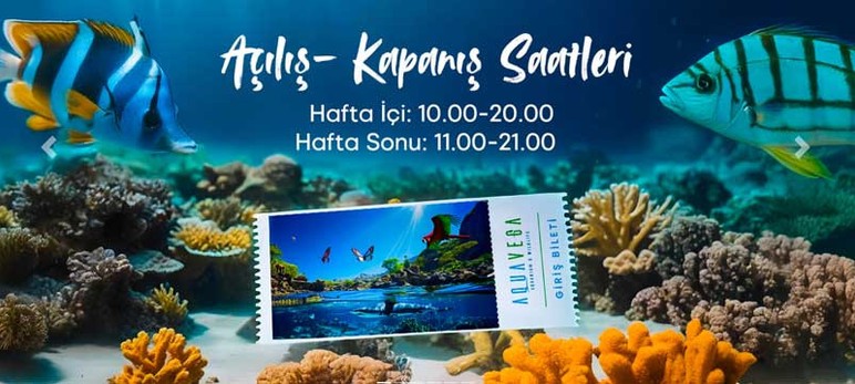 Ankara'nın okyanusa açılan tüneli! İçinde gezilen dev akyaryum: Aqua Vega