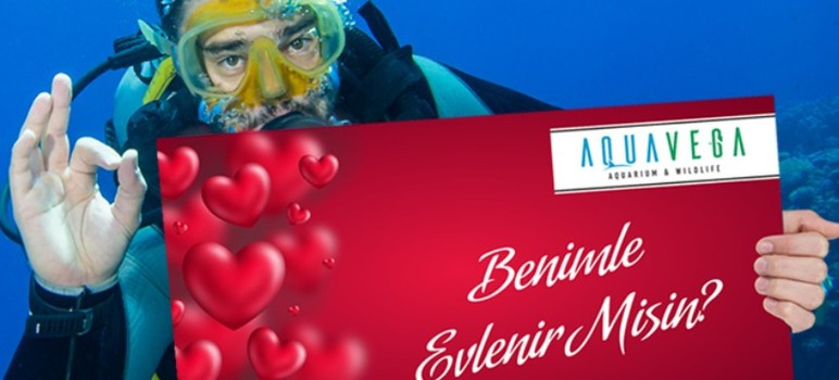 Deniz değil, Okyanus Ankara'ya geldi! Başkentin büyülü dünyası görmeyen kalmasın - Resim : 4