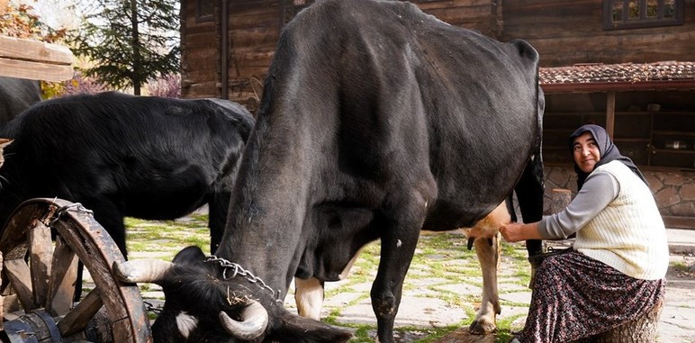 Altındağ Belediyesi'nden geleneksel katkısız doğal dağ salebi!