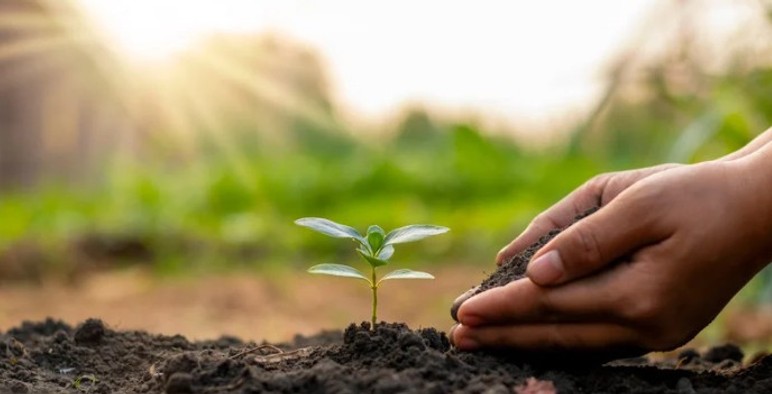 TZOB Genel Başkanı Bayraktar'dan 'kredi ödemeleri ertelensin' talebi