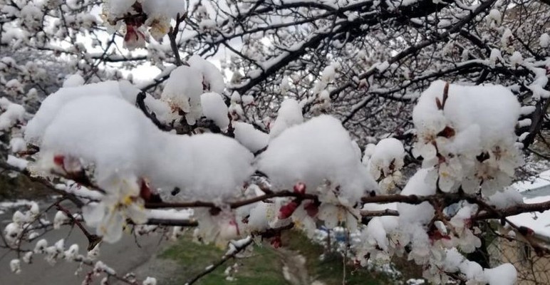 Nisan kışı aratmadı, Çamlıdere gece -10 dereceyi gördü!