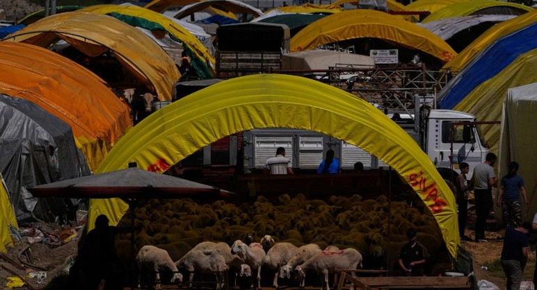 Başkentte kurban pazarları ve kesimhanelerde yoğunluk oluştu