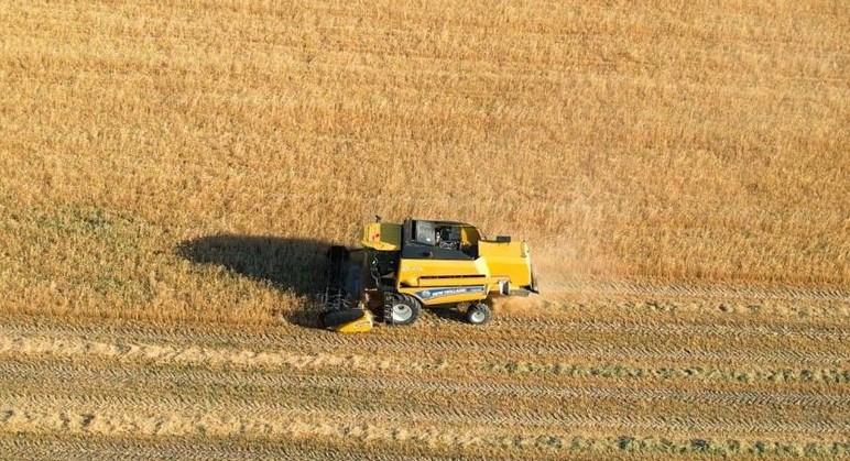 Başkent Ankara'ya hem kuraklık hem yangın riski uyarısı! - Resim : 3