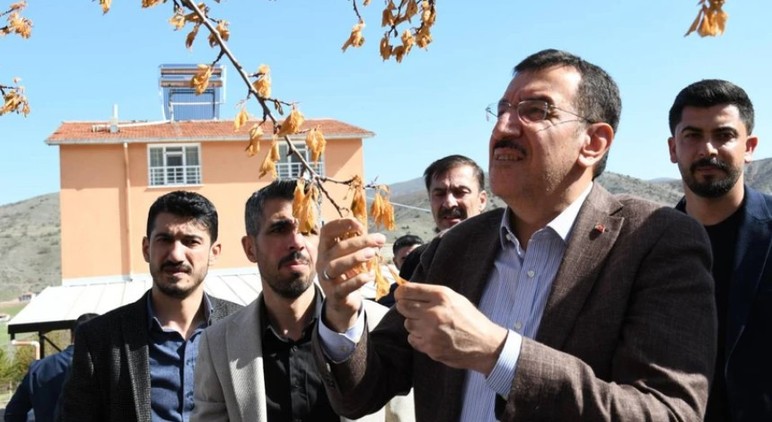 Zirai don destek ödemelerinin yapılacağı zaman belli oldu
