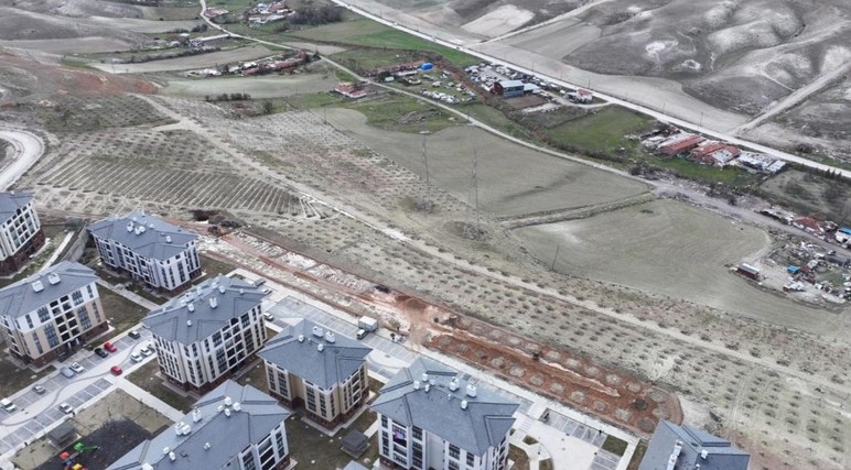 Sincan Belediyesi Saraycık Mahallesi'nde ağaçlandırma çalışması yapacak