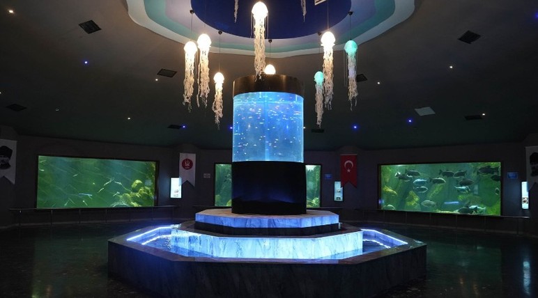 Keçiören'de Deniz Dünyası yenilendi: Ziyaretçilerini bekliyor - Resim : 2