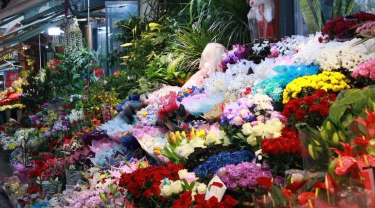 Başkentte Öğretmenler Günü için Kasımpatı tercih edildi