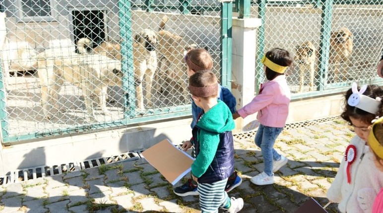 Kahramankazan Belediyesi'nden Hayvanları Koruma Günü'ne özel etkinlik - Resim : 2