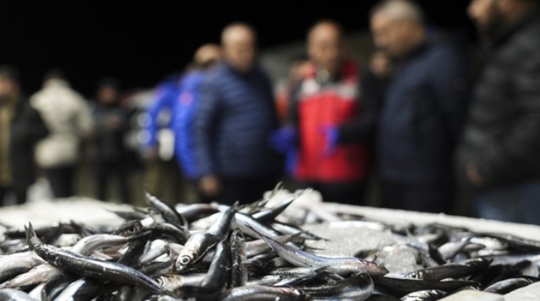 Başkentte bu yıl içinde 6 binden fazla su ürünleri denetimi gerçekleştirildi