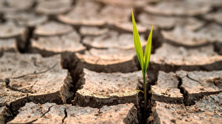 Prof. Dr. Mikdat Kadıoğlu: 'Ankara son 47 yılın en kurak dönemini yaşadı'