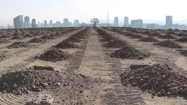 11 Kasım Milli Ağaçlandırma Günü'nde Ankara'da 423 bin fidan dikilecek