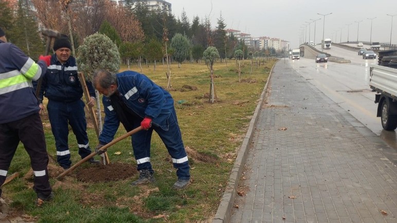 Sincan'da ekipler kuru peyzaj çalışmalarına devam ediyor! - Resim : 3