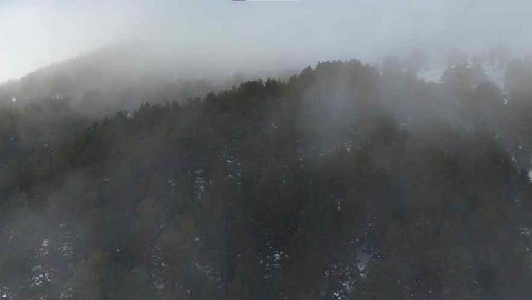 Kızılcahamam'da orman beyaz kar örtüsü ile kaplandı