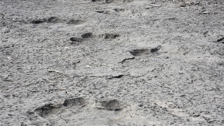 İtalya'da 200 milyon yıllık dinozor ayak izleri bulundu