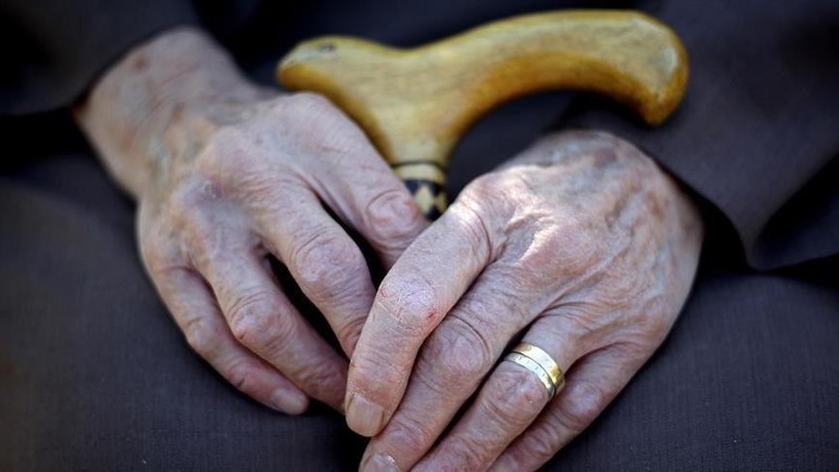 İleri yaştakilerin Alzheimer riski düzenli yumurta tüketilerek azaltılabiliyor