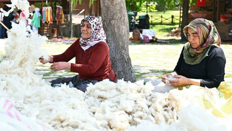 Altındağ Belediyesi duyurdu: Altınköy'de hasat şenliği başladı