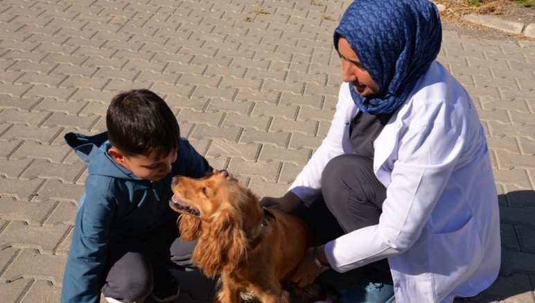Kahramankazan Belediyesi'nden Hayvanları Koruma Günü'ne özel etkinlik