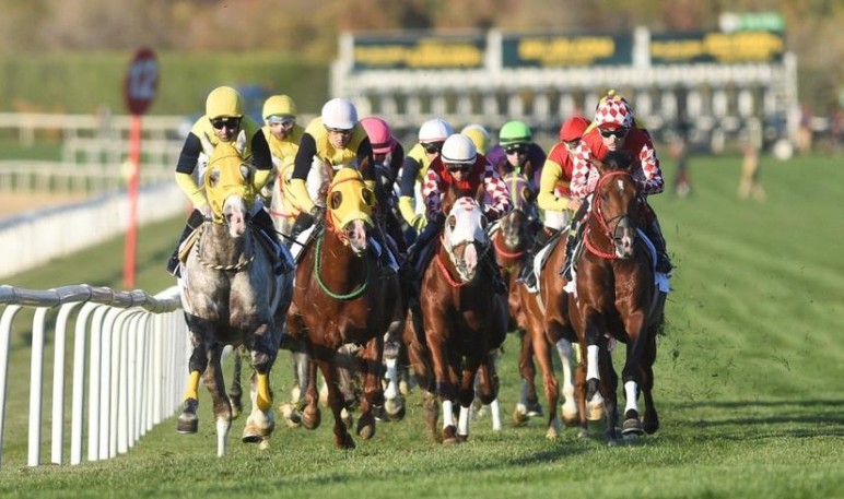 75. Yıl Ankara Hipodromu'nda 45. Cumhuriyet Koşusu ile 87. Cumhurbaşkanlığı Koşusu yapıldı!