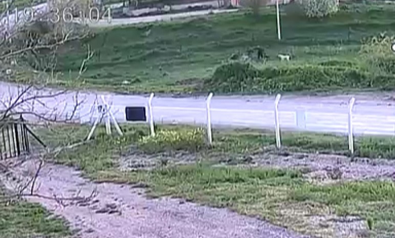 Ayaş'ta baba ile oğlunun demir çubukla komşularını hastanelik ettiği iddiası