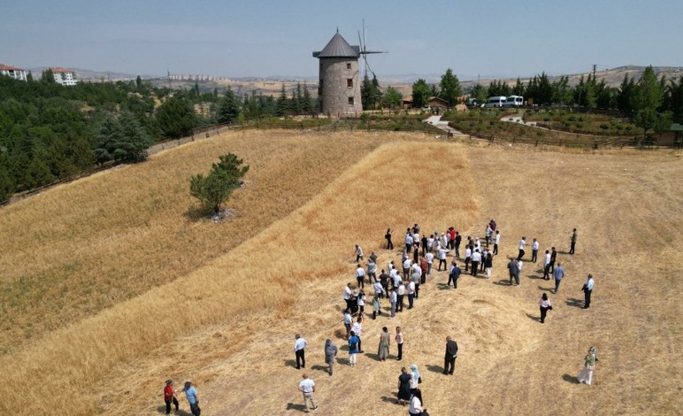 Altındağ Belediyesi duyurdu: Altınköy'de hasat şenliği başladı - Resim : 5
