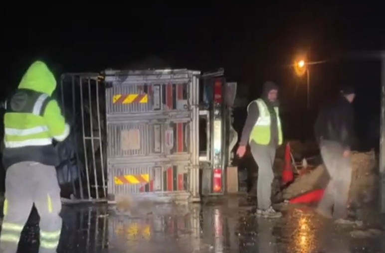 Polatlı'da devrilen kamyonda küçükbaş hayvanlar telef oldu