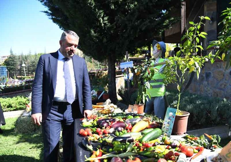 Pursaklar Belediyesi'nin teşviği ile 'Yerli Tohum' hasadı başladı