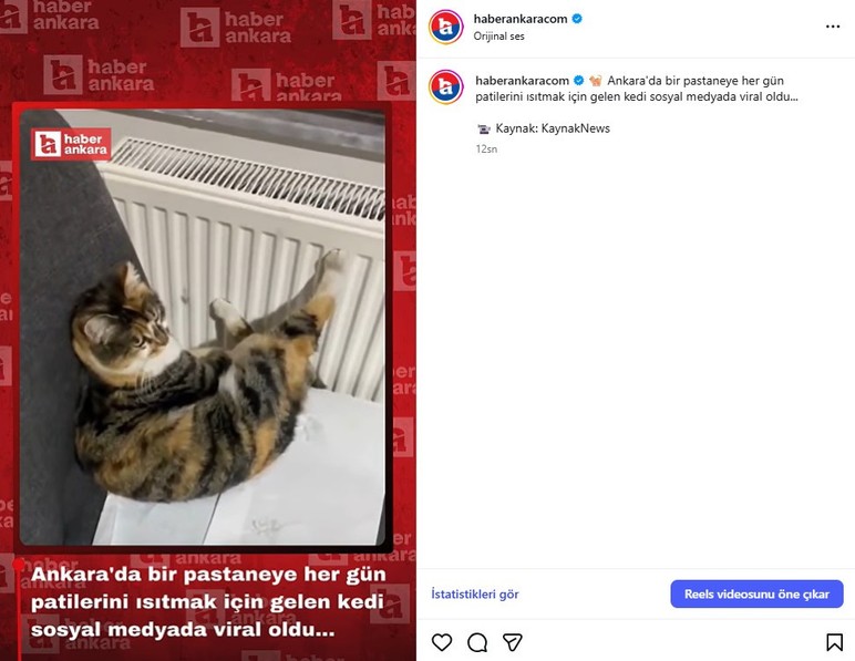 Ankara'da bir pastaneye her g&uuml;n patilerini ısıtmak i&ccedil;in gelen kedi sosyal medyada viral oldu...