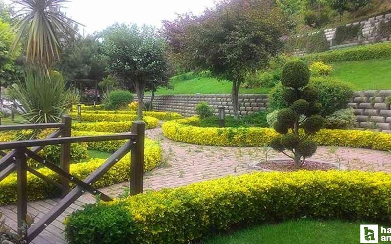 Başkentlilerin en sevdiği parklar arasında: İçinde tam 80 farklı bitki türü var