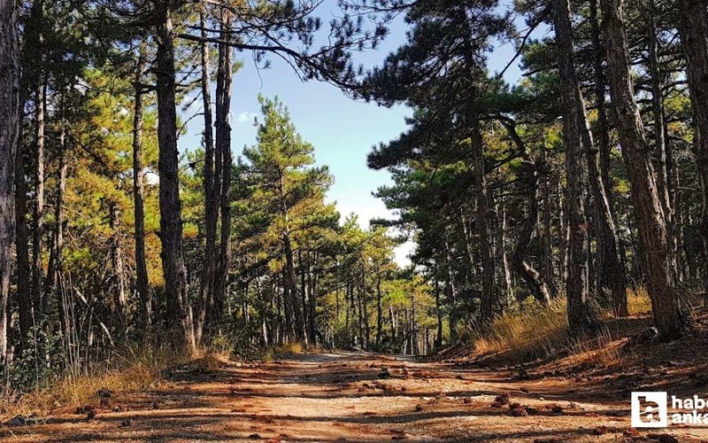 Ankara'nın geçmişi Roma dönemine kadar dayanan doğal güzelliği büyülüyor