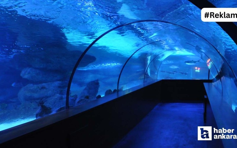 Ankara'nın okyanusa açılan tüneli! İçinde gezilen dev akyaryum: Aqua Vega