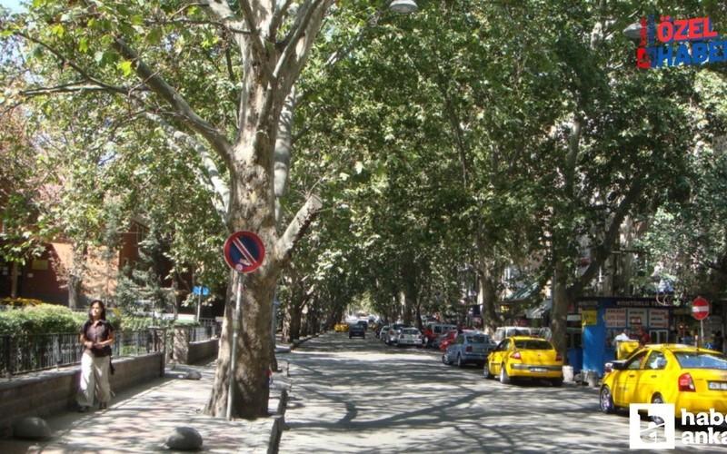 Kızılay’ın Sessiz Yüzü Kumrular Sokak