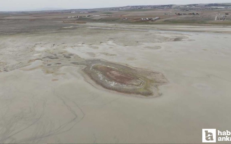 Ankara'da allı turnaların yuvasıydı: Kuraklık vurdu, yok oldu!
