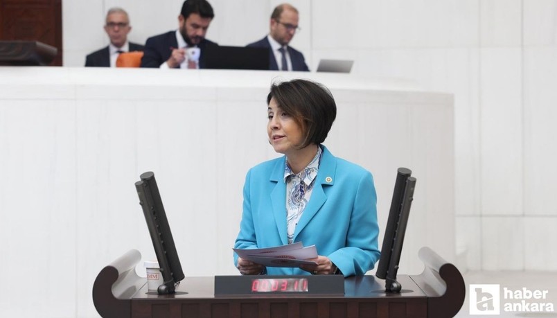 CHP Ankara Milletvekili Aylin Yaman nüfus politikaları ve doğurganlık hızını değerlendirdi