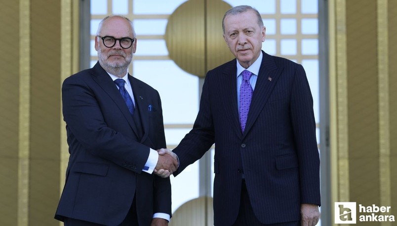 Cumhurbaşkanı Erdoğan Estonya Cumhurbaşkanı Karis ile bir araya geldi
