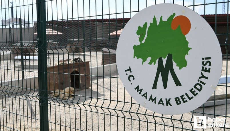 Mamak Belediyesi 20 köpeğin vurularak götürülmesi iddialarına yanıt verdi