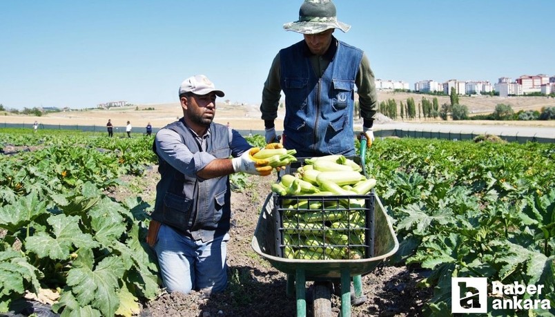 Keçiören Belediyesi sosyal yardım projeleri ile vatandaşın yüzünü güldürüyor