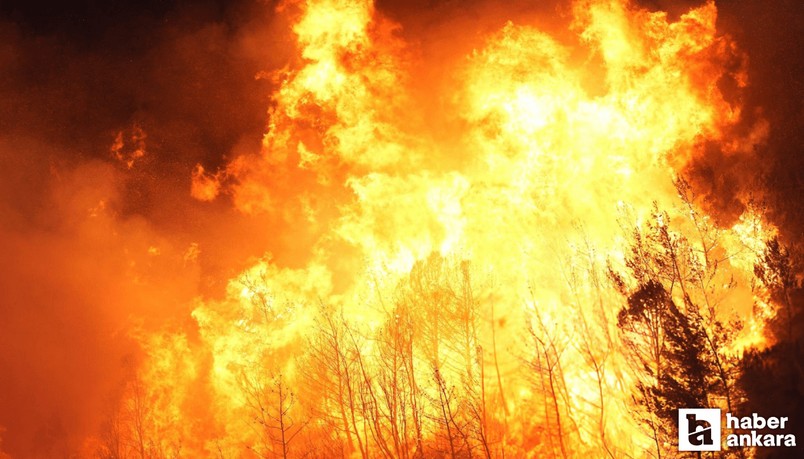 İzmir yangınında son durum ne, Karşıyaka'da neler oluyor?