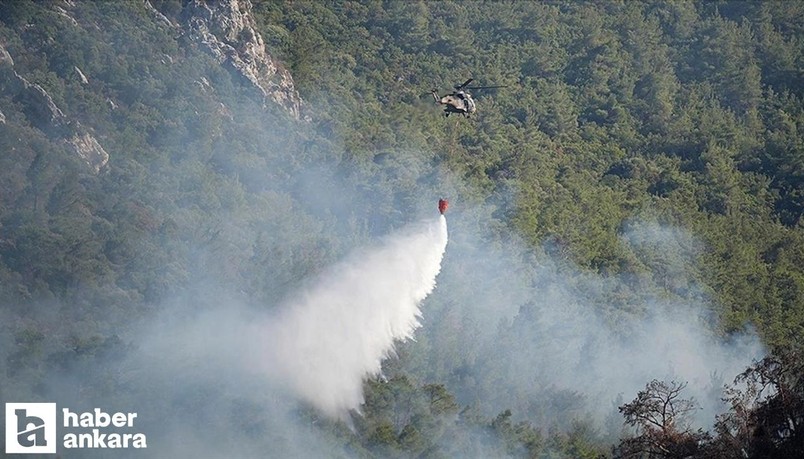 TSK Afyonkarahisar, İzmir ve Ankara'daki orman yangınlarını söndürme çalışmalarına destek oluyor