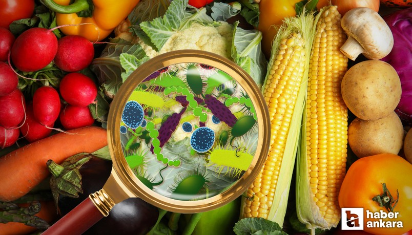 Amerika'da ölümcül hastalık paniği: Listeria virüsü 9 can aldı