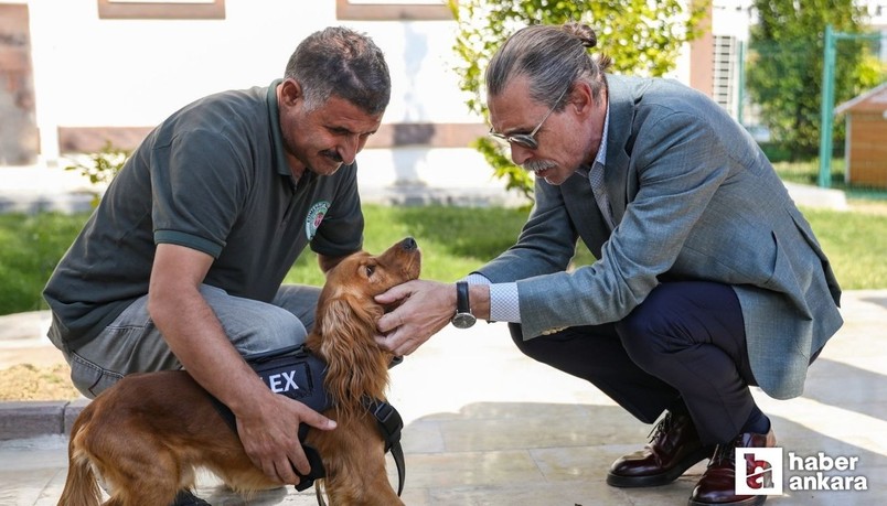 Erdal Beşikçioğlu eğitilen 5 sokak köpeğinin Etimesgut Belediyesinde görevlendirildiğini duyurdu