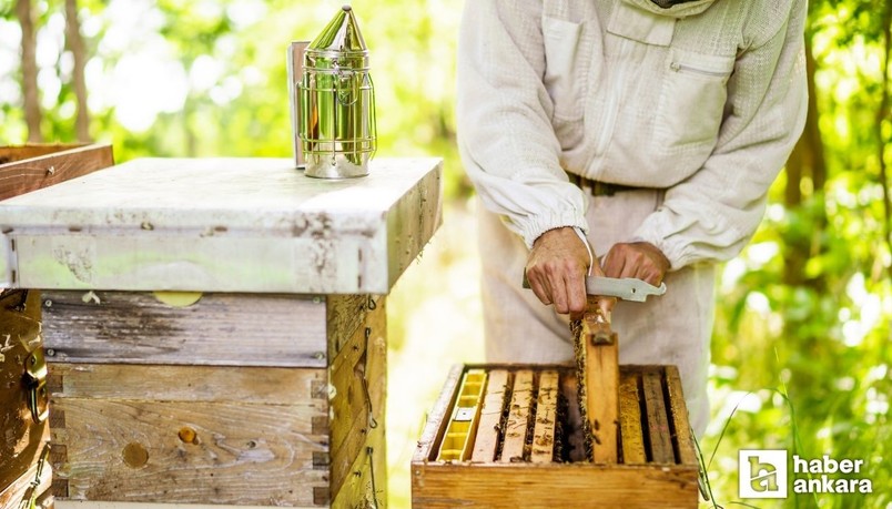 Ankara Büyükşehir Belediyesi Arıcılık Zirvesi düzenleyeceğini duyurdu