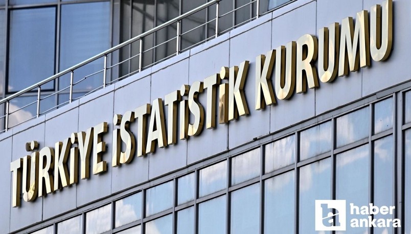 TÜİK sözleşmeli personel alımı yapacak: Başvurular başladı