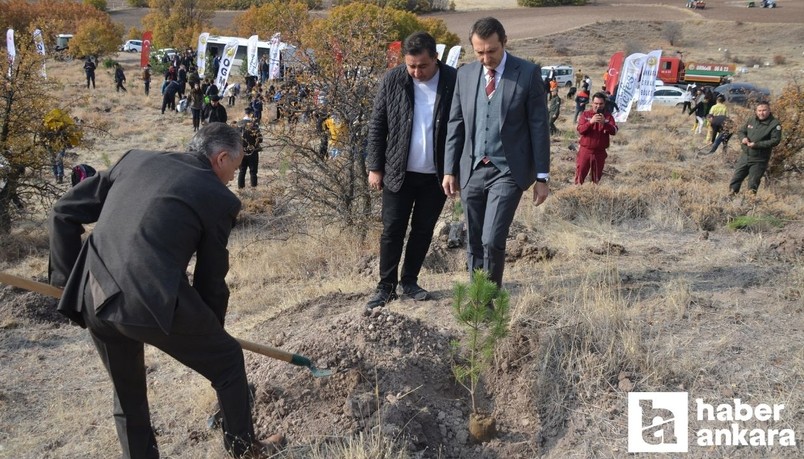 Kahramankazan Belediyesi Milli Ağaçlandırma Günü’nde 500 çam fidanı dikti