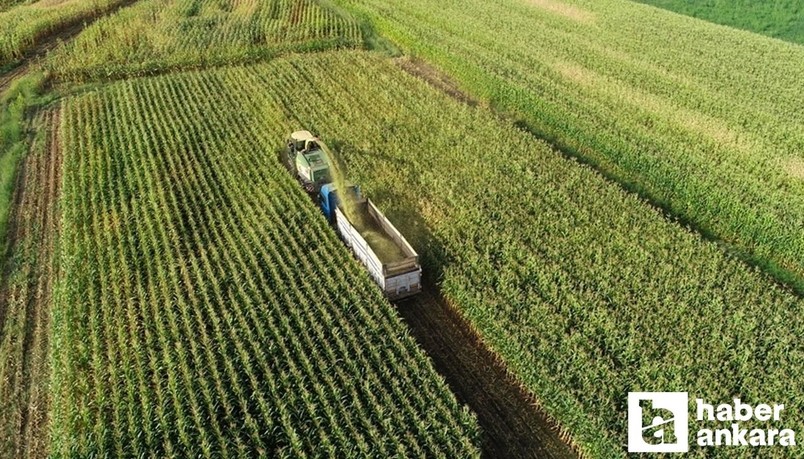 Hazine ve Maliye Bakanlığı esnaf ve çiftçi desteklerinin devam edeceğini açıkladı