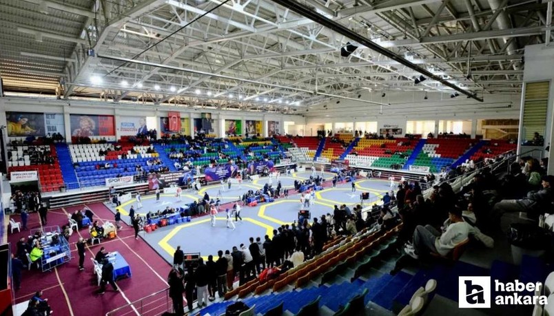 Ankara'da düzenlenen Türkiye Büyükler Taekwondo Şampiyonası tamamlandı