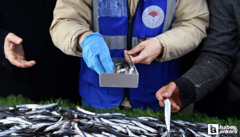 Altındağ Belediyesi ilçedeki balık satışlarını denetledi