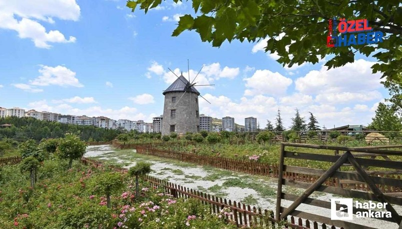 Ankara'nın en masalsı köyü! Asma köprüsü, yel ve su değirmeni bile var