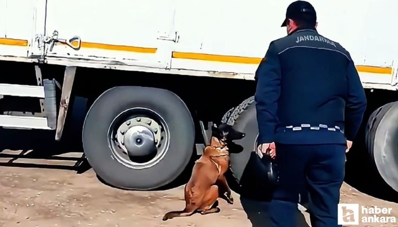 Kırıkkale’de jandarma ekipleri 1 tonun üzerine kaçak tütün ele geçirdi