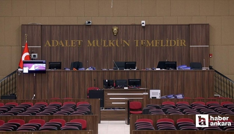 Ankara'da sokak köpeklerinin saldırısı soruşturmasında 2 belediye yetkilisine ceza istendi
